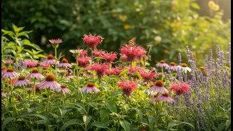 Easy Plants That Welcome Pollinators Without Extra Effort