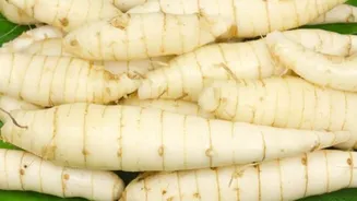 Arrowroot powder: 5 health benefits you didn't know