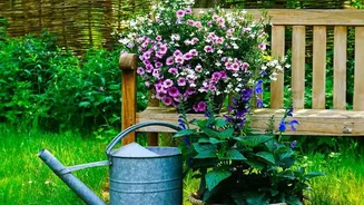 A Simple Trial Run Can Reveal Whether a Holiday Watering Method Works