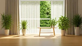 Beat the Indian Heat: Smart Ways to Create a Cool Home Oasis Without AC