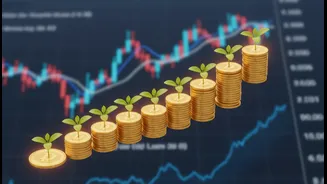 Mid-Cap And Small-Cap Fund Inflows Shows How Equity Mutual-Fund Portfolios Is Being Rewritten