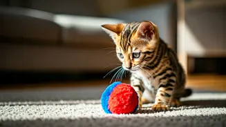 10 Kid-Friendly Cat Breeds for Indian Homes