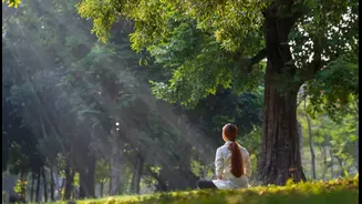 Beginners guide to healing mind and body through chakras