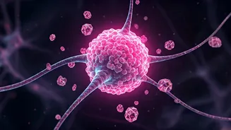 Brain Tumours Hijack Sugar Fuel: A New Pathway to Fight Glioblastoma