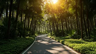 Related Stories banner