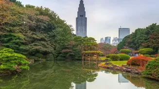 Travelling To Japan? These Stunning City Parks Offer Peaceful Escapes From Urban Crowds