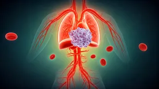 Cholesterol: Beyond the 'Bad' Label – Understanding Its True Role and Management