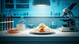 Gujarat Wedding Mishap: Over 200 Guests Fall Ill, Food Samples Undergoing Tests