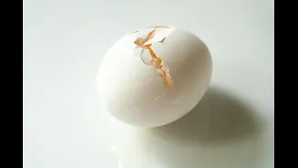 Ovo aumenta o colesterol? Entenda por que ele foi reabilitado pela ciência