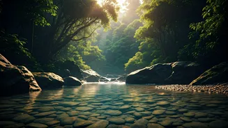 India's 'Silent River': Unveiling the Mysteries of the Untouched Kunthipuzha