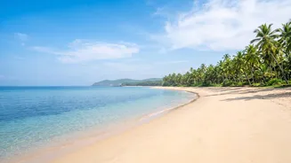 Why South Goa Offers Better Workation Peace Than Bustling North Goa Beaches