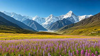 Related Stories banner