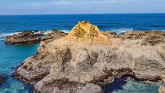 Coastal Ecosystems Are Valuable Carbon Assets, but Erosion Can Change Them