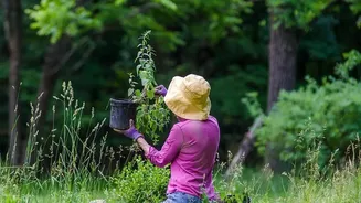 Why Outdoor Sensory Details Can Support Present-Moment Attention