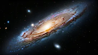 Webb's Cigar Galaxy Study Has Big Science Energy