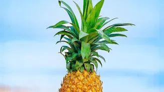 Five Iconic Pineapple Recipes That Prove This Tropical Fruit Belongs In Savoury Cooking