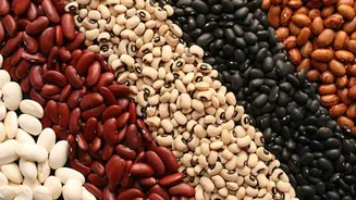 These beans can make your dishes extra nutritious