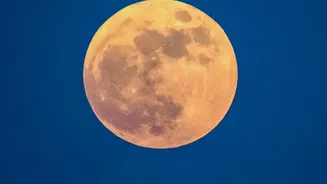 Skywatchers Alert: An Upcoming Lunar Eclipse Is Worth Watching