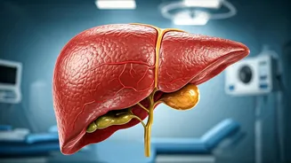 Unveiling Liver Health: Causes, Issues & Solutions