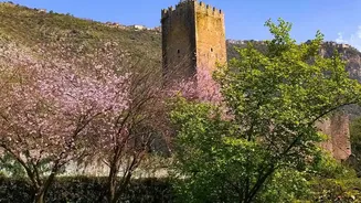 Azerbaijan Budget Vacation: Gen Z Indians Explore Baku And Sheki Without Visa Hassles