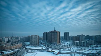 Delhi-NCR Shivers: Cold Wave Grips the Capital