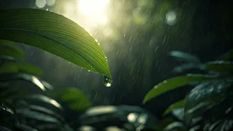 Andamans In Rain Are Intimate And Cinematic