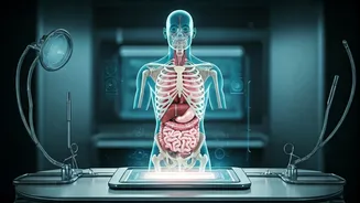 Medical Students Practice Simulated Complex Dissections Inside VR Settings