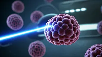 New Hope for Deadly Cancers: Breakthrough Treatment on the Horizon