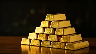 Top-Performing PMS Portfolios of 2025: Gains Revealed!