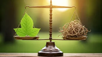 Unlocking Healthy Boundaries: Healing from Strict Parenting's Lasting Impact