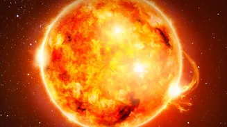 What Scientists Can Learn About Solar Wave Behaviour From The Newly Seen Solar Plasma Wave