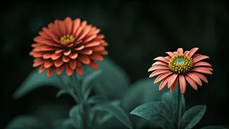 The 'Struggling Child' Phenomenon: Why Parents Unconsciously Favor Them