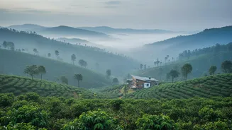 Coorg Homestays In Coffee Estates Offer Idyllic Off Season Retreats For Nature Loving Monsoon Travellers