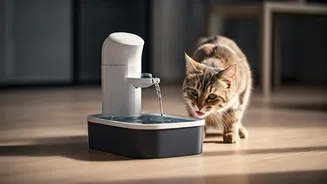 Specialized Hydration Fountains Keep Indoor Pets Comfortable This Summer