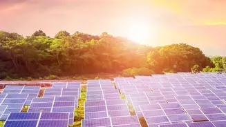 Reducing Evaporation Rates: Solar Panels Installed Over Indian Crops Save Vital Irrigation Water