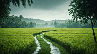 Moody Weather Turns Goa Into A Slow-Travel Dream