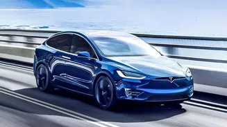 Viral Gurugram Footage Tests Public Perceptions of Tesla's AI