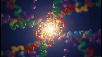 Why Nutrition Experts Say Absorbed Protein Matters More Than Advertised Protein