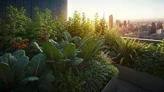 Become High Earning Terrace Garden Consultant In Metro Cities