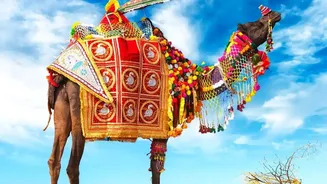 Rajasthan's Current Monsoon Travel Surge: What It Means For Nature Travel Beyond The Desert Image
