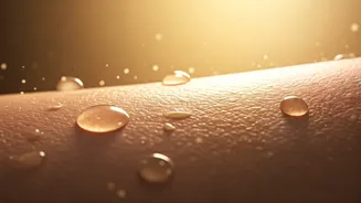 Related Stories banner