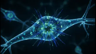 Why new skeleton structure inside brain cells is called major breakthrough