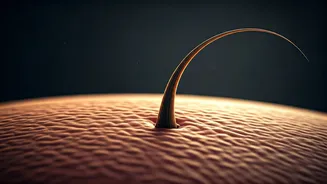 Why Your Hair Problems Start At The Root