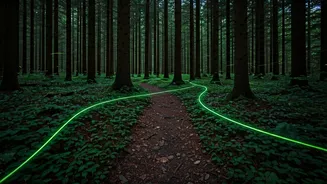 Chase Glowing Night Trails Via Maharashtra Forest Firefly Festival Treks