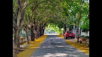 Karnataka and Konkan brace for heavy showers: Bengaluru's coolest June stretch in years