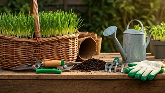 Master Your Garden: Essential Tools and Their True Purpose Revealed