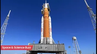 Science & Space Roundup: Top News of the Day (Feb. 25)