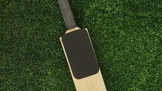 ಕ್ರಿಕೆಟ್‌ನಲ್ಲಿ ಅತಿ ದುಬಾರಿ ಬ್ಯಾಟ್ ಯಾವುದು?