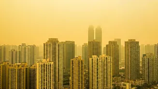Delhi's Smog: What Is Causing the Air Crisis?