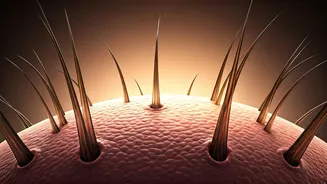 Unlock Hair Growth: Master the Art of Scalp Massage for Thinning Spots